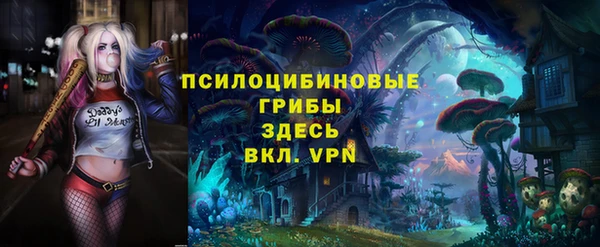дмт Медвежьегорск