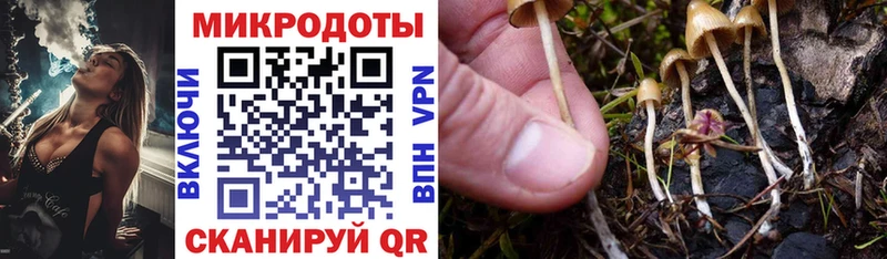 Псилоцибиновые грибы Psilocybe  Купить где  Мезень 